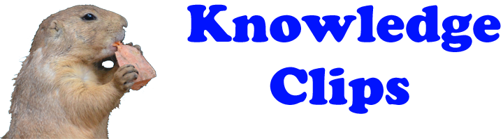 Knowledge Clips