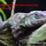 National Reptile Awareness Day