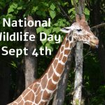 September 4 is National Wildlife Day